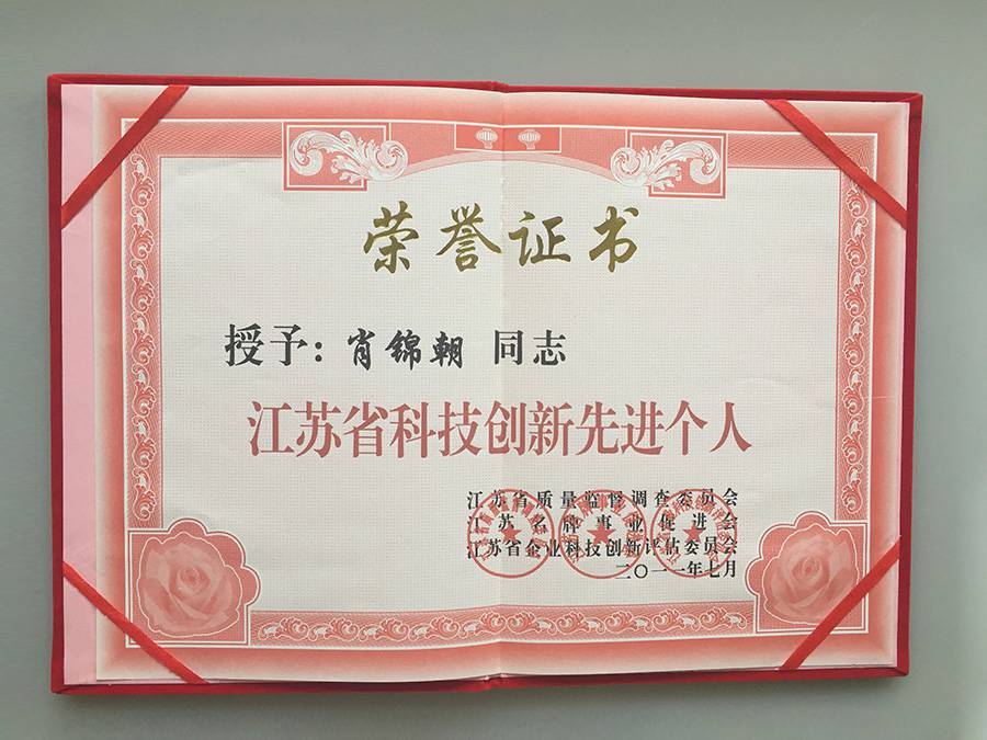江苏省科技创新先进个人